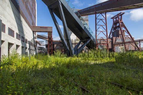 Das größte Übertagegebäude auf Zollverein, die Kohlenwäsche [A14], war zu Betriebszeiten eine Riesenmaschine, die täglich 23.000 Tonnen Rohkohle sortierte und klassierte. Von 2003 bis 2006 wurde sie von dem Office for Metropolitan Architecture (OMA) unter Leitung von Rem Koolhaas und dem Essener Büro Böll & Krabel umfassend saniert. Die Kohlenwäsche ist zentrale Anlaufstelle für Besucher sowie Museumsgebäude des 2010 eröffneten Ruhr Museums und des Portals der Industriekultur. Die oberen Etagen gehören mit den authentisch erhaltenen Übertageanlagen zum Denkmalpfad ZOLLVEREIN®. Auf dem Dach der Kohlenwäsche sind zwei Aussichtsplattformen installiert, die einen Rundblick auf das Gelände und die Region bieten. 

Das 55 Meter hohe Doppelbock-Fördergerüst ist das Wahrzeichen der Zeche Zollverein, der Stadt Essen und der gesamten Region: Die als Doppelstrebengerüst in Vollwandbauweise konstruierte Förderanlage ermöglichte eine doppelte Fördermechanik, mittels derer die doppelte Menge Förderwagen bzw. Fördergefäße transportiert werden konnten. Zollverein Schacht XII galt zu Betriebszeiten als die leistungsstärkste Zeche der Welt. 250 Stufen führen auf die oberste Plattform des Gerüstes, deren Seilscheiben sich auch heute noch drehen: Der Schacht wird heute von der RAG AG für die zentrale Wasserhaltung genutzt.

Ort: Areal A [Schacht XII], Kohlenwäsche [A14]