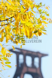 Die Geschichte Zollvereins beginnt in den Pioniertagen des heutigen Ruhrgebiets. Der erste Schacht wurde 1847 abgeteuft, vier Jahre später die erste Kohle gefördert: Vier weitere Anlagen entstanden, die letzte war die Schachtanlage Zollverein XII,  die ab 1932 die Förderung der gesamten Zollverein-Kohle zentral übernahm. 

Die Gebäude der 1928 bis 1932 im Stil der „Neuen Sachlichkeit“ nach Entwürfen der Architekten Fritz Schupp und Martin Kremmer gebauten Anlage sind nach dem Prinzip „Form follows Function“ zum optimalen Ablauf der Kohleförderung und -aufbereitung angeordnet. Trotz Rekordzahlen wie 12.000 Tagestonnen verwertbarer Steinkohle machte das Ende der Schwerindustrie auch vor Zollverein nicht Halt. Am 23. Dezember 1986 fuhr die letzte Schicht ein. An diesem Tag stand die Zeche bereits unter Denkmalschutz, 1990 begannen die Sanierungsarbeiten und seit 2001 sind Zeche und Kokerei Zollverein UNESCO-Welterbe. Mit dem Denkmalpfad ZOLLVEREIN®, dem Ruhr Museum und dem Red Dot Design Museum sind auf Schacht XII drei der beliebtesten Touristenziele der Region angesiedelt. Das Doppelbock-Fördergerüst der Schachtanlage ist heute ein Wahrzeichen für das gesamte Ruhrgebiet. 

Das 55 Meter hohe Doppelbock-Fördergerüst ist das Wahrzeichen der Zeche Zollverein, der Stadt Essen und der gesamten Region: Die als Doppelstrebengerüst in Vollwandbauweise konstruierte Förderanlage ermöglichte eine doppelte Fördermechanik, mittels derer die doppelte Menge Förderwagen bzw. Fördergefäße transportiert werden konnten. Zollverein Schacht XII galt zu Betriebszeiten als die leistungsstärkste Zeche der Welt. 250 Stufen führen auf die oberste Plattform des Gerüstes, deren Seilscheiben sich auch heute noch drehen: Der Schacht wird heute von der RAG AG für die zentrale Wasserhaltung genutzt.

Areal A [Schacht XII], Fördergerüst [A1]