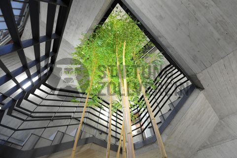 Im Foyer und im großen Saal im Obergeschoss der ehemaligen Lesebandhalle finden heute Kongresse, Messen und Konzerte statt. Bis in die 1960er Jahre lasen hier Bergleute an fünf Lesebändern von Hand die großen Gesteinsstücke aus dem Rohkohlegemisch.

Ort: Areal A [Schacht XII], Halle 12 [A12]
