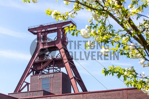 Das 55 Meter hohe Doppelbock-Fördergerüst ist das Wahrzeichen der Zeche Zollverein, der Stadt Essen und der gesamten Region: Die als Doppelstrebengerüst in Vollwandbauweise konstruierte Förderanlage ermöglichte eine doppelte Fördermechanik. Dadurch konnte die doppelte Menge an Förderwagen bzw. Fördergefäßen transportiert werden. Zollverein Schacht XII galt zu Betriebszeiten als die leistungsstärkste Zeche der Welt. 250 Stufen führen auf die oberste Plattform des Gerüstes, deren Seilscheiben sich auch heute noch manchmal drehen: Der Schacht wird von der RAG AG für die zentrale Wasserhaltung genutzt.

Areal A [Schacht XII], Fördergerüst [A1]