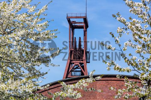 Der Förderturm und das Einstrebenfördergerüst wurden über den beiden ersten Zollverein-Schächten errichtet. 1904 und 1954 wurde die Schachtanlage modernisiert, auch die Förderanlagen wurden dabei erneuert.

Areal B [Schacht 1/2/8], Fördergerüst [B40]