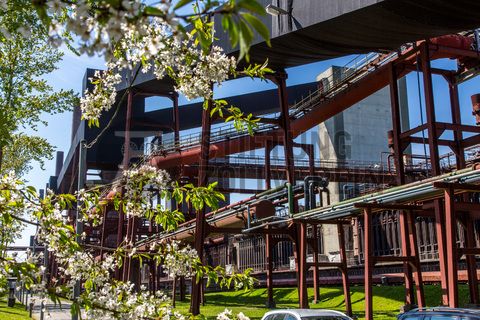 Die Kokerei Zollverein wurde von 1957 bis 1961 nach Plänen des Architekten Fritz Schupp gebaut, nach Erweiterungsarbeiten war sie ab 1973 die größte Zentralkokerei Europas. Täglich waren bis zu 1.000 Koker rund um die Uhr im Einsatz, bis zu 8.600 Tonnen Koks wurden pro Tag produziert. 1993 wurde die Kokerei stillgelegt, im Jahr 2000 in die Denkmalliste der Stadt Essen aufgenommen, seit 2001 gehört sie zum UNESCO-Welterbe. 2010 ist die Kokerei in den Besitz der Stiftung Zollverein übergegangen. Die „schwarze Seite“ der Kokerei, die den Bereich der Koksproduktion bezeichnet, kann bei einer Führung durch den Denkmalpfad ZOLLVEREIN® besichtigt werden.

Areal C [Kokerei]