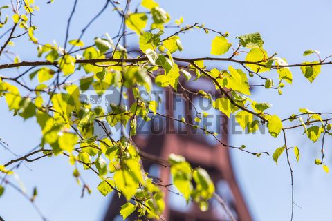 Das 55 Meter hohe Doppelbock-Fördergerüst ist das Wahrzeichen der Zeche Zollverein, der Stadt Essen und der gesamten Region: Die als Doppelstrebengerüst in Vollwandbauweise konstruierte Förderanlage ermöglichte eine doppelte Fördermechanik. Dadurch konnte die doppelte Menge an Förderwagen bzw. Fördergefäßen transportiert werden. Zollverein Schacht XII galt zu Betriebszeiten als die leistungsstärkste Zeche der Welt. 250 Stufen führen auf die oberste Plattform des Gerüstes, deren Seilscheiben sich auch heute noch manchmal drehen: Der Schacht wird von der RAG AG für die zentrale Wasserhaltung genutzt.

Areal A [Schacht XII], Fördergerüst [A1]