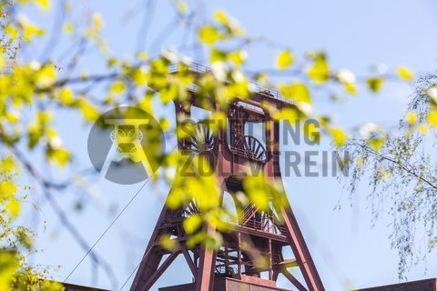 Das 55 Meter hohe Doppelbock-Fördergerüst ist das Wahrzeichen der Zeche Zollverein, der Stadt Essen und der gesamten Region: Die als Doppelstrebengerüst in Vollwandbauweise konstruierte Förderanlage ermöglichte eine doppelte Fördermechanik. Dadurch konnte die doppelte Menge an Förderwagen bzw. Fördergefäßen transportiert werden. Zollverein Schacht XII galt zu Betriebszeiten als die leistungsstärkste Zeche der Welt. 250 Stufen führen auf die oberste Plattform des Gerüstes, deren Seilscheiben sich auch heute noch manchmal drehen: Der Schacht wird von der RAG AG für die zentrale Wasserhaltung genutzt.

Areal A [Schacht XII], Fördergerüst [A1]