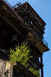 Die Kokerei Zollverein wurde von 1957 bis 1961 nach Plänen des Architekten Fritz Schupp gebaut, nach Erweiterungsarbeiten war sie ab 1973 die größte Zentralkokerei Europas. Täglich waren bis zu 1.000 Koker rund um die Uhr im Einsatz, bis zu 8.600 Tonnen Koks wurden pro Tag produziert. 1993 wurde die Kokerei stillgelegt, im Jahr 2000 in die Denkmalliste der Stadt Essen aufgenommen, seit 2001 gehört sie zum UNESCO-Welterbe. 2010 ist die Kokerei in den Besitz der Stiftung Zollverein übergegangen. Die „schwarze Seite“ der Kokerei, die den Bereich der Koksproduktion bezeichnet, kann bei einer Führung durch den Denkmalpfad ZOLLVEREIN® besichtigt werden.

Das Sonnenrad ist ein von dem Architekten und Ausstellungsgestalter Jürg Steiner (geb. 1950) nabenlos konstruiertes Riesenrad mit 14 Gondeln. Besucher erhalten einen Überblick über das Gelände ebenso wie einen Einblick in die aufgeschnittene Koksofenbatterie 9. Das Sonnenrad entstand 1999 anlässlich der Ausstellung 