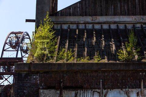Die Kokerei Zollverein wurde von 1957 bis 1961 nach Plänen des Architekten Fritz Schupp gebaut, nach Erweiterungsarbeiten war sie ab 1973 die größte Zentralkokerei Europas. Täglich waren bis zu 1.000 Koker rund um die Uhr im Einsatz, bis zu 8.600 Tonnen Koks wurden pro Tag produziert. 1993 wurde die Kokerei stillgelegt, im Jahr 2000 in die Denkmalliste der Stadt Essen aufgenommen, seit 2001 gehört sie zum UNESCO-Welterbe. 2010 ist die Kokerei in den Besitz der Stiftung Zollverein übergegangen. Die „schwarze Seite“ der Kokerei, die den Bereich der Koksproduktion bezeichnet, kann bei einer Führung durch den Denkmalpfad ZOLLVEREIN® besichtigt werden.

Das Sonnenrad ist ein von dem Architekten und Ausstellungsgestalter Jürg Steiner (geb. 1950) nabenlos konstruiertes Riesenrad mit 14 Gondeln. Besucher erhalten einen Überblick über das Gelände ebenso wie einen Einblick in die aufgeschnittene Koksofenbatterie 9. Das Sonnenrad entstand 1999 anlässlich der Ausstellung 