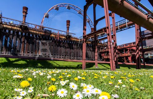 Die Kokerei Zollverein wurde von 1957 bis 1961 nach Plänen des Architekten Fritz Schupp gebaut, nach Erweiterungsarbeiten war sie ab 1973 die größte Zentralkokerei Europas. Täglich waren bis zu 1.000 Koker rund um die Uhr im Einsatz, bis zu 8.600 Tonnen Koks wurden pro Tag produziert. 1993 wurde die Kokerei stillgelegt, im Jahr 2000 in die Denkmalliste der Stadt Essen aufgenommen, seit 2001 gehört sie zum UNESCO-Welterbe. 2010 ist die Kokerei in den Besitz der Stiftung Zollverein übergegangen. Die „schwarze Seite“ der Kokerei, die den Bereich der Koksproduktion bezeichnet, kann bei einer Führung durch den Denkmalpfad ZOLLVEREIN® besichtigt werden.

Die 600 Meter langen Koksofenbatterien mit 304 schmalen Koksöfen prägen das Gesicht der sogenannten „schwarzen Seite“ der Kokerei. Die Ofendecke, das Innere der Koksöfen, die Löschgleishalle und weitere Bereiche können Besucher im Rahmen einer Führung im  Denkmalpfad ZOLLVEREIN® entdecken.

Das Sonnenrad ist ein von dem Architekten und Ausstellungsgestalter Jürg Steiner (geb. 1950) nabenlos konstruiertes Riesenrad mit 14 Gondeln. Besucher erhalten einen Überblick über das Gelände ebenso wie einen Einblick in die aufgeschnittene Koksofenbatterie 9. Das Sonnenrad entstand 1999 anlässlich der Ausstellung 