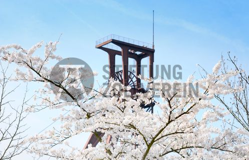Der Förderturm und das Einstrebenfördergerüst wurden über den beiden ersten Zollverein-Schächten errichtet. 1904 und 1954 wurde die Schachtanlage modernisiert, auch die Förderanlagen wurden dabei erneuert.

Areal B [Schacht 1/2/8], Fördergerüst [B40]