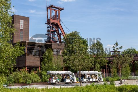 Zügig von A nach B kommen oder an einer geführten Rundfahrt teilnehmen – mit den E-Bus-Angeboten auf dem Welterbe Zollverein können Besucher das 100 Hektar große Gelände noch einfacher erkunden. Die Fahrten richten sich an alle, die schnell und komfortabel einen ersten Überblick über das Welterbe-Gelände erhalten möchten. Dabei können die Gäste zwischen den ZOLLVEREIN® Rundfahrten und der Linie UNESCO-Welterbe Zollverein wählen.

Die 1851 in Betrieb genommene Gründerschachtanlage 1/2/8 ist die älteste Schachtanlage der Zeche Zollverein. Die vorhandenen Ziegelmassivbauten stammen aus dem ersten Jahrzehnt des 20. Jahrhunderts, sämtliche Erweiterungsbauten nach 1932 wurden im architektonischen Stil der Schachtanlage Zollverein XII errichtet. Auf Schacht 1/2/8 befanden sich mit der Markenkontrolle, Kaue und Lampenstube auch die Sozialräume für die auf Schacht 1/2/8 und Schacht XII tätigen Bergleute. Nach der Stilllegung 1986 wurde die Schachtanlage 1/2/8 saniert. In der ehemaligen Maschinenhalle befindet sich heute der Kunstschacht Zollverein, in der einstigen Waschkaue die renommierte Kulturinstitution PACT Zollverein. 2000 wurde die Schachtanlage 1/2/8 in die Denkmalliste der Stadt Essen aufgenommen und gehört seit 2001 zum UNESCO-Welterbe. 

Der Förderturm und das Einstrebenfördergerüst wurden über den beiden ersten Zollverein-Schächten errichtet. 1904 und 1954 wurde die Schachtanlage modernisiert, auch die Förderanlagen wurden dabei erneuert.

Areal B [Schacht 1/2/8]