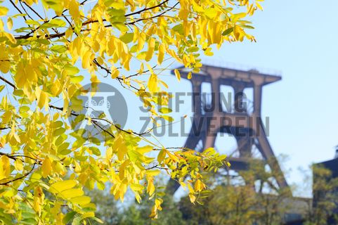 Das 55 Meter hohe Doppelbock-Fördergerüst ist das Wahrzeichen der Zeche Zollverein, der Stadt Essen und der gesamten Region: Die als Doppelstrebengerüst in Vollwandbauweise konstruierte Förderanlage ermöglichte eine doppelte Fördermechanik. Dadurch konnte die doppelte Menge an Förderwagen bzw. Fördergefäßen transportiert werden. Zollverein Schacht XII galt zu Betriebszeiten als die leistungsstärkste Zeche der Welt. 250 Stufen führen auf die oberste Plattform des Gerüstes, deren Seilscheiben sich auch heute noch manchmal drehen: Der Schacht wird von der RAG AG für die zentrale Wasserhaltung genutzt.

Areal A [Schacht XII], Fördergerüst [A1]