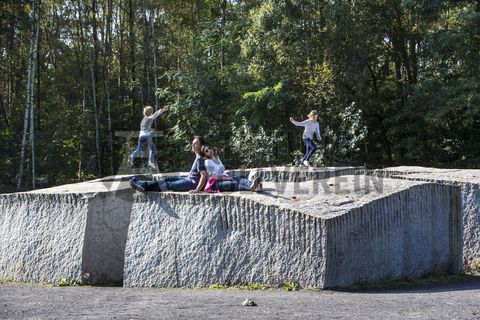 Von 1992 bis 1997 nutzte der Bildhauer Ulrich Rückriem (geb. 1938) die Halle 5 [A5] auf Schacht XII als Atelier und Skulpturenhalle. Auf dem stillgelegten Zechengelände zeigte er 1992 im Rahmen der DOCUMENTA IX seine Arbeiten und erklärte die einstige Zeche kurzerhand zur Außenstation dieser Weltausstellung der Kunst – ein Novum in der DOCUMENTA-Geschichte. Südlich der Halde Zollverein platzierte er 1993 auf einer Lichtung eine Steinskulptur, das „Castell“, und legte damit sozusagen den Grundstein für den Erhalt und die Nutzbarmachung der Halde von Schacht XII. Der Akt kam einer „Besetzung“ gleich, denn es gab bereits Pläne für eine Nutzung der Fläche als städtische Baustoffdeponie. 

Die Grundform dieser monumentalen Skulptur besteht aus einem riesigen Quader aus österreichischem Granit mit einer Kantenlänge von 10x10 Metern. Weitere Fixpunkte und Wegmarken auf der Halde bilden die vier Steinstelen auf der Halde, die je ein Skulpturenpaar bilden. Ein Skulpturenpaar trägt den Titel „Granit Bleu de Vire, gespalten und geschnitten“, das andere „Hellgrauer finnischer Granit, gespalten“ und „finnischer Granit hellgrau, gespalten“.

Halde