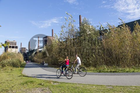 Die 3,5 Kilometer lange Ringpromenade ist Teil des Zollverein Parks und lädt zu einem Spaziergang über das Areal der Zeche und Kokerei ein. Auch Jogger und Fahrradfahrer kommen hier auf ihre Kosten. 

Die Kokerei Zollverein wurde von 1957 bis 1961 nach Plänen des Architekten Fritz Schupp gebaut, nach Erweiterungsarbeiten war sie ab 1973 die größte Zentralkokerei Europas. Täglich waren bis zu 1.000 Koker rund um die Uhr im Einsatz, bis zu 8.600 Tonnen Koks wurden pro Tag produziert. 1993 wurde die Kokerei stillgelegt, im Jahr 2000 in die Denkmalliste der Stadt Essen aufgenommen, seit 2001 gehört sie zum UNESCO-Welterbe. 2010 ist die Kokerei in den Besitz der Stiftung Zollverein übergegangen. Die „schwarze Seite“ der Kokerei, die den Bereich der Koksproduktion bezeichnet, kann bei einer Führung durch den Denkmalpfad ZOLLVEREIN® besichtigt werden.

Areal C [Kokerei]