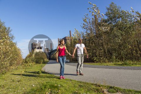 Die 3,5 Kilometer lange Ringpromenade ist Teil des Zollverein Parks und lädt zu einem Spaziergang über das Areal der Zeche und Kokerei ein. Auch Jogger und Fahrradfahrer kommen hier auf ihre Kosten. 

Die Kokerei Zollverein wurde von 1957 bis 1961 nach Plänen des Architekten Fritz Schupp gebaut, nach Erweiterungsarbeiten war sie ab 1973 die größte Zentralkokerei Europas. Täglich waren bis zu 1.000 Koker rund um die Uhr im Einsatz, bis zu 8.600 Tonnen Koks wurden pro Tag produziert. 1993 wurde die Kokerei stillgelegt, im Jahr 2000 in die Denkmalliste der Stadt Essen aufgenommen, seit 2001 gehört sie zum UNESCO-Welterbe. 2010 ist die Kokerei in den Besitz der Stiftung Zollverein übergegangen. Die „schwarze Seite“ der Kokerei, die den Bereich der Koksproduktion bezeichnet, kann bei einer Führung durch den Denkmalpfad ZOLLVEREIN® besichtigt werden.

Areal C [Kokerei]