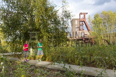 Der Förderturm und das Einstrebenfördergerüst wurden über den beiden ersten Zollverein-Schächten errichtet. 1904 und 1954 wurde die Schachtanlage modernisiert, auch die Förderanlagen wurden dabei erneuert.

Areal B [Schacht 1/2/8], Fördergerüst [B40], Förderturm [B41]

Die Industrienatur auf dem UNESCO-Welterbe Zollverein ist einzigartig und zeigt eindrucksvoll, dass große innerstädtische Brachen wichtige Lebensräume für Tiere und Pflanzen in der stark besiedelten Region des Ruhrgebiets sind. Auf dem Welterbe wurden über 540 Farn- und Blütenpflanzenarten, etwa 100 Flechtenarten, rund 60 Vogelarten, über 20 Schmetterlingsarten und 6 Amphibienarten nachgewiesen. 

Seit 2006 wird die besondere Verbindung von Natur und Industriearchitektur im Zollverein Park gepflegt und kontinuierlich weiterentwickelt. Grundlage für die Landschaftsgestaltung des Parks ist der Masterplan „Industrielandschaft Zollverein“, den 2003 die Agentur Agence Ter unter Leitung von Henri Bava erstellt hat.

Der Park ist nicht nur Lebensraum für viele Pflanzen- und Tierarten, sondern auch ein attraktives Freizeit- und Naherholungsgebiet. 2014 wurde der ZOLLVEREIN® Park zum beliebtesten Ziel im Emscher Landschaftspark gewählt. Früher wurde hier das taube Gestein als Abfallprodukt der Kohleförderung gelagert. Heute laden frei zugängliche Sitzgelegenheiten, Picknickplätze, Aussichtspunkte und Spielorte für Kinder zum Verweilen ein. Namhafte Künstler haben sich mit Kunstwerken und Skulpturen im ZOLLVEREIN® Park verewigt.

Areal A [Schacht XII]