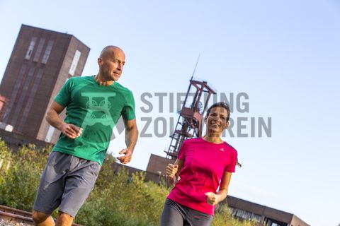 Der Förderturm und das Einstrebenfördergerüst wurden über den beiden ersten Zollverein-Schächten errichtet. 1904 und 1954 wurde die Schachtanlage modernisiert, auch die Förderanlagen wurden dabei erneuert.
Areal B [Schacht 1/2/8], Fördergerüst [B40], Förderturm [B41]